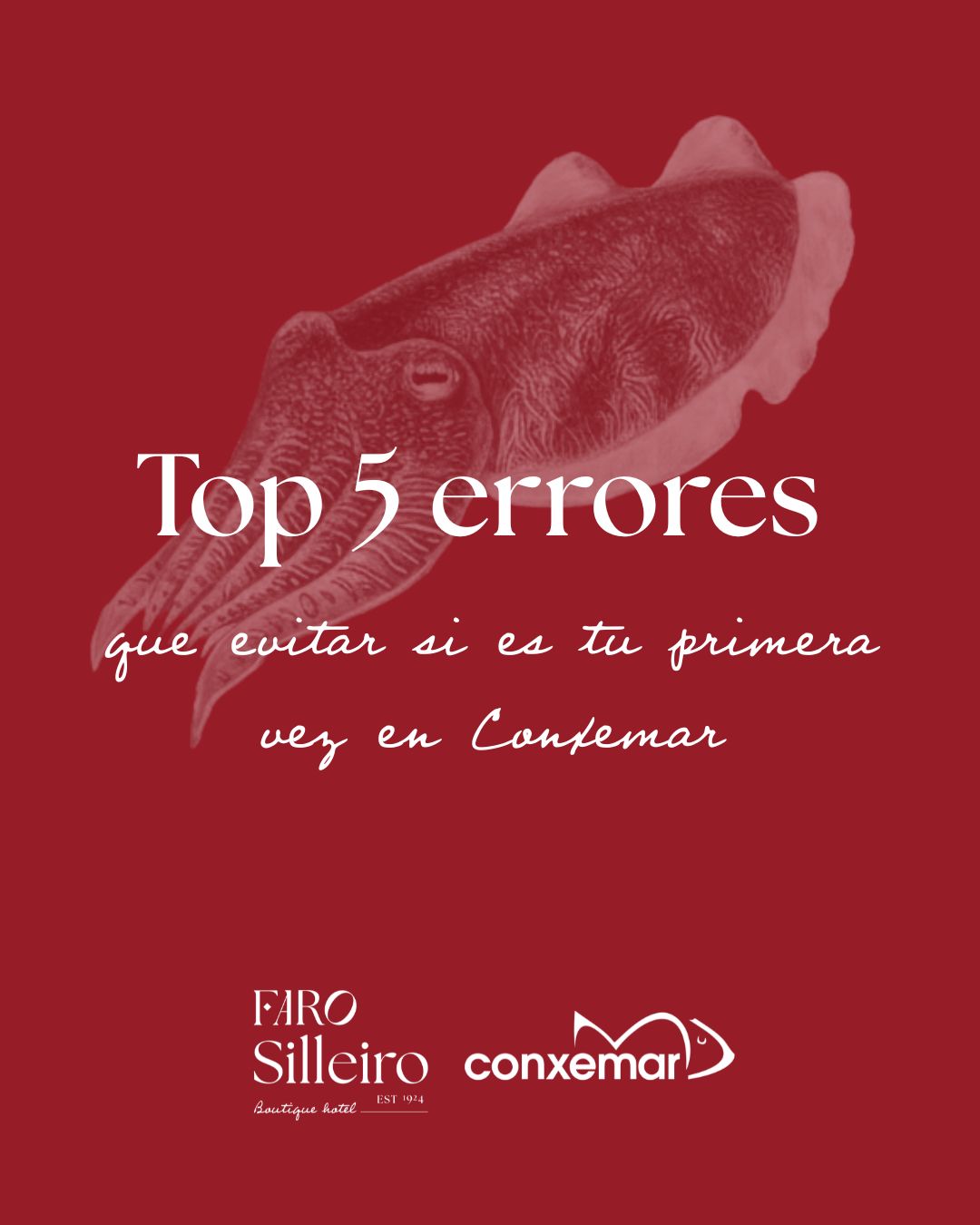 op 5 errores que evitar si es tu primera vez en Conxemar